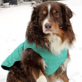 Alpine Extreme Cold Puffer Coat (Color: Arcadia, size: 5X-Large)